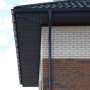 IMG_9997_1