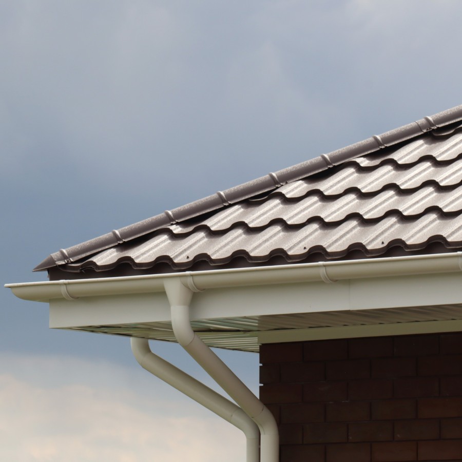 IMG_2265_1